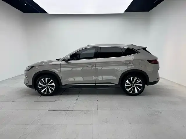 BYD PLUS New Energy — фото 6