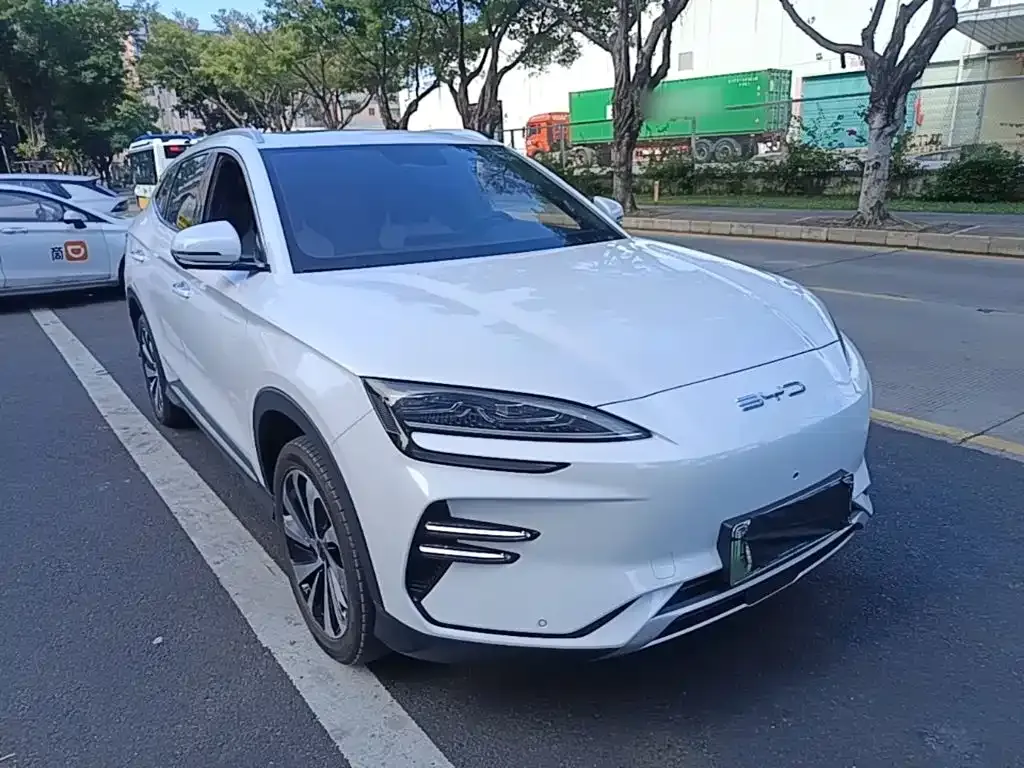 BYD PLUS New Energy — фото 4