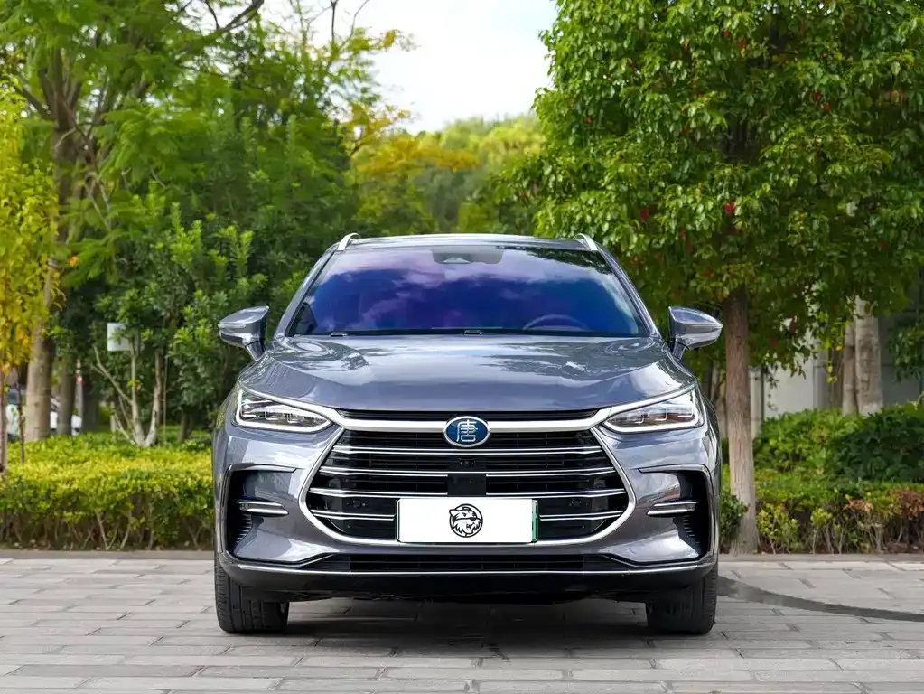 BYD Tang New Energy — фото 9