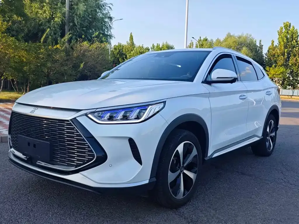 BYD PLUS New Energy — фото 1