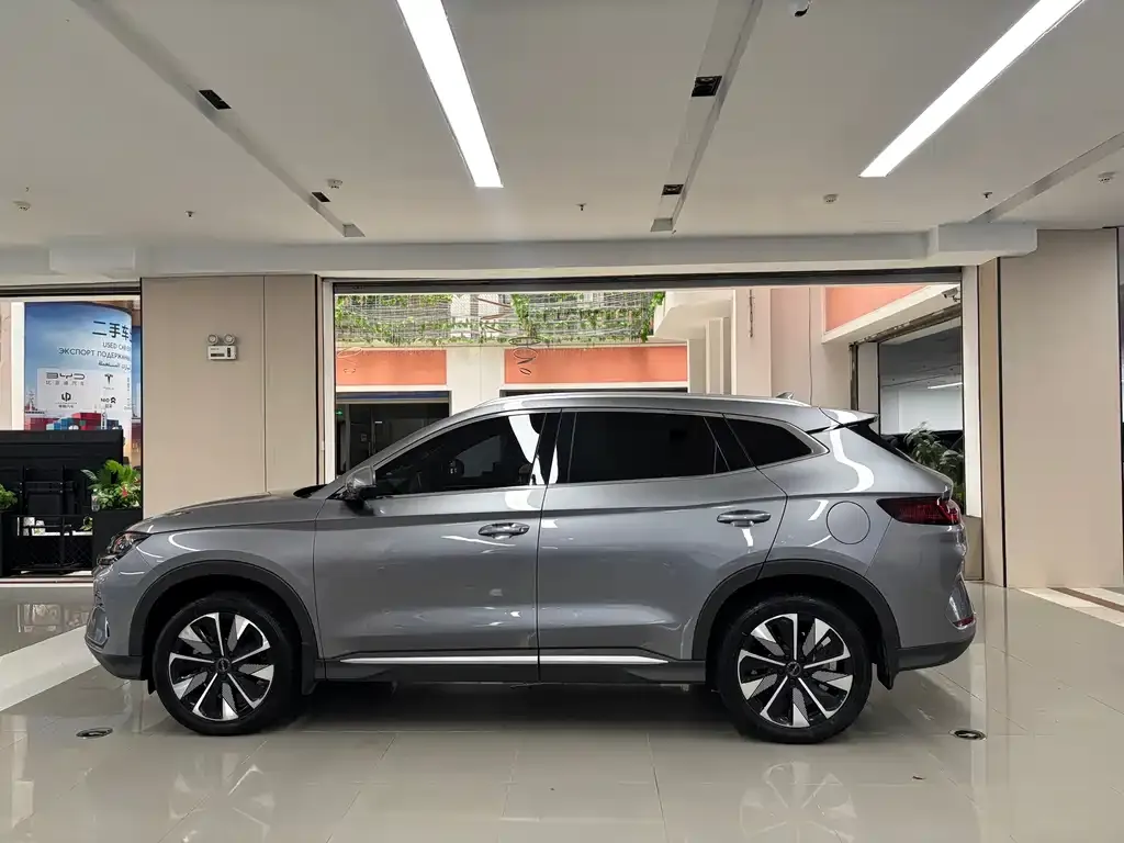 BYD PLUS New Energy — фото 6