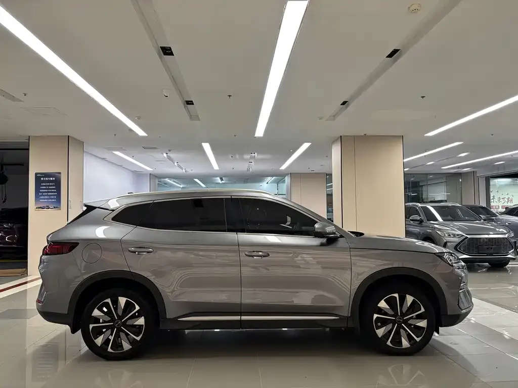 BYD PLUS New Energy — фото 9