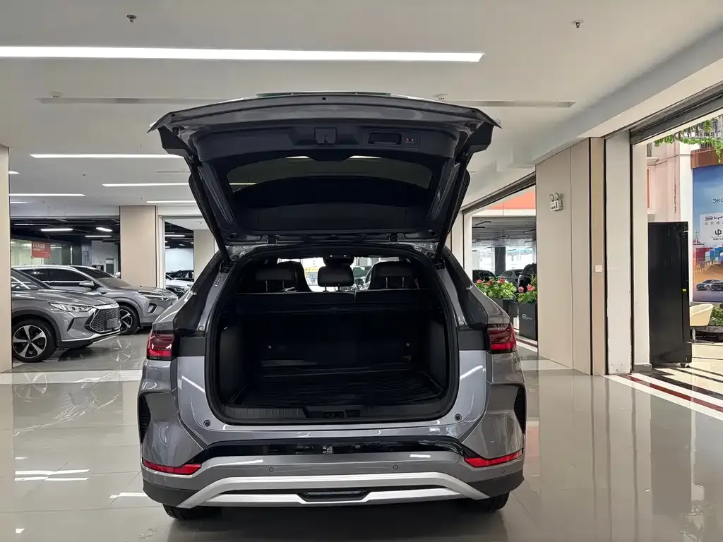 BYD PLUS New Energy — фото 4