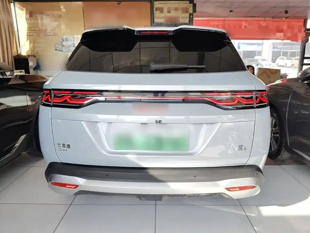 BYD L DM-i — фото 6
