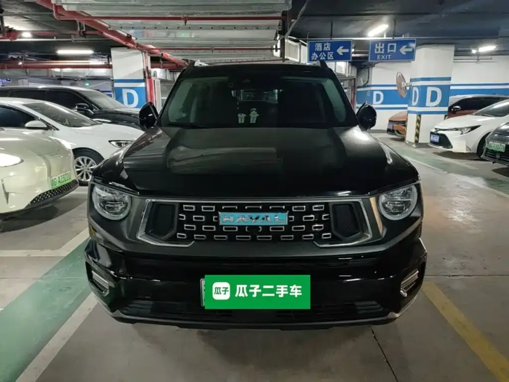 Haval Big Dog PLUS New Energy — фото 4