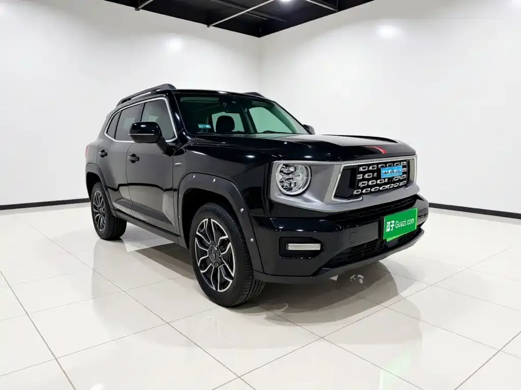 Haval Big Dog PLUS New Energy — фото 7