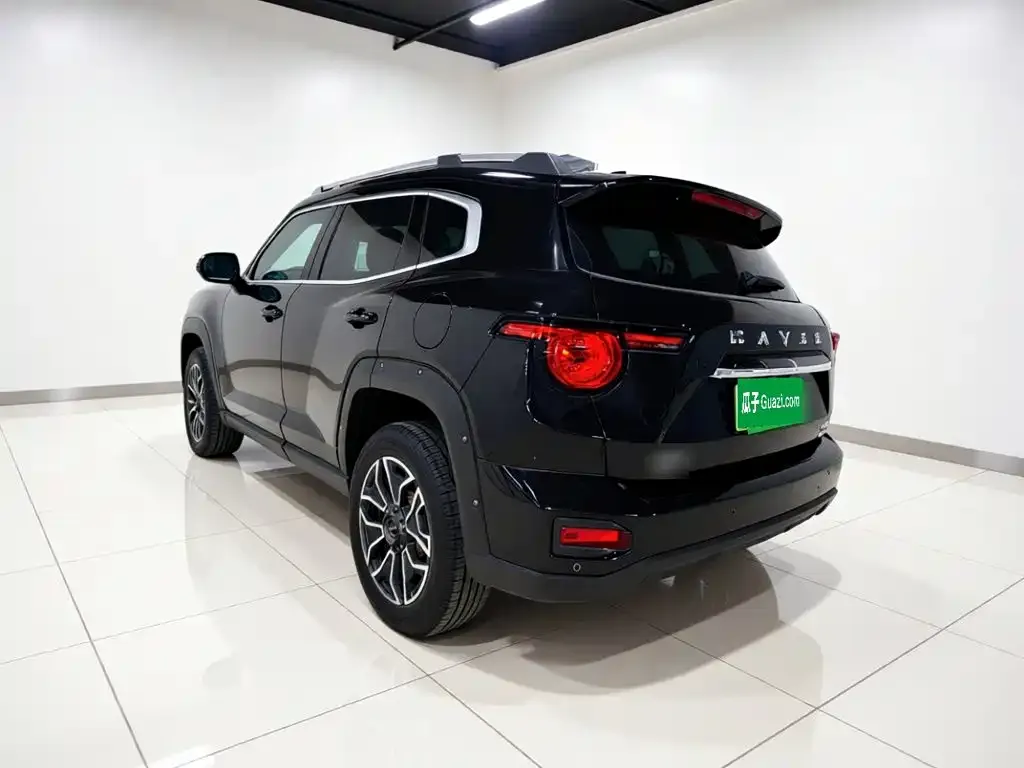 Haval Big Dog PLUS New Energy — фото 9