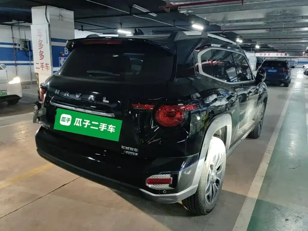 Haval Big Dog PLUS New Energy — фото 8