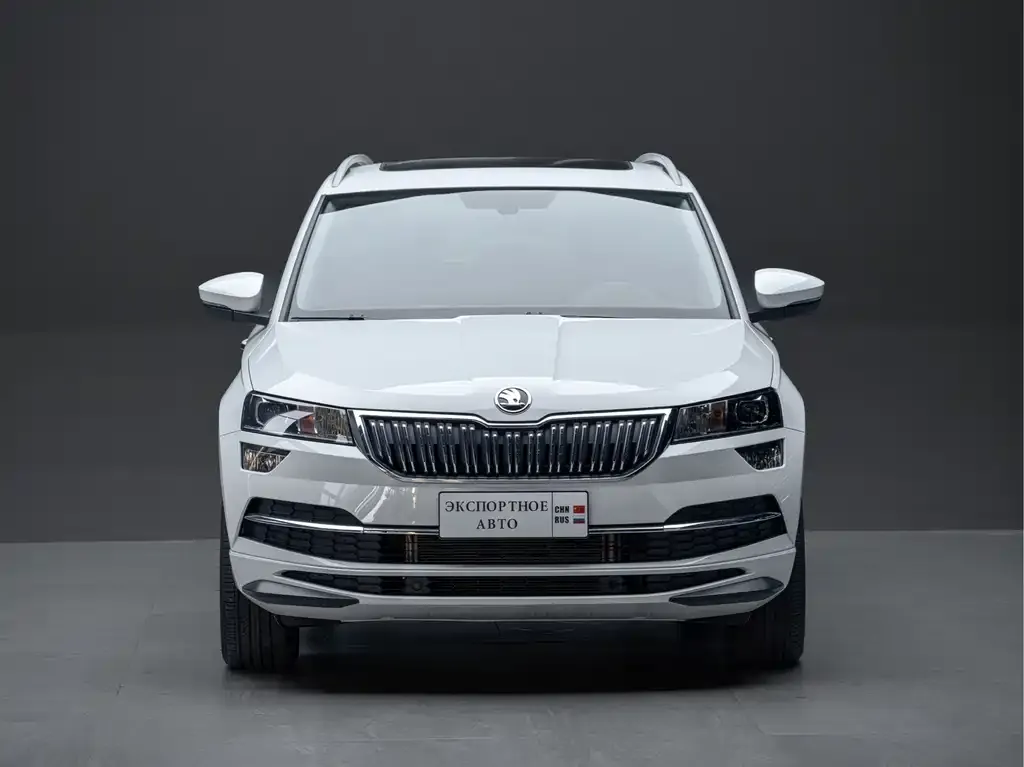 Skoda Karoq — фото 10