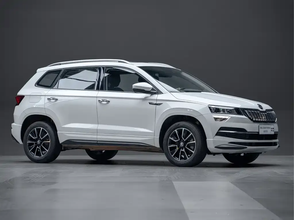 Skoda Karoq — фото 9