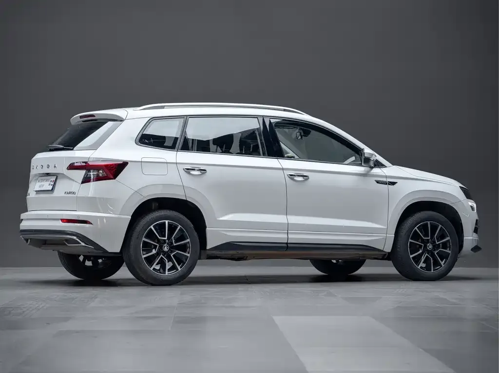 Skoda Karoq — фото 8
