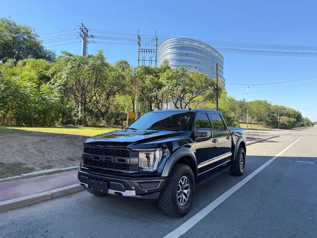 Ford F-150 Raptor — фото 1
