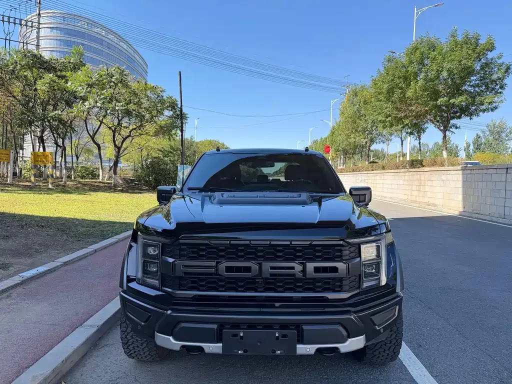 Ford F-150 Raptor — фото 6
