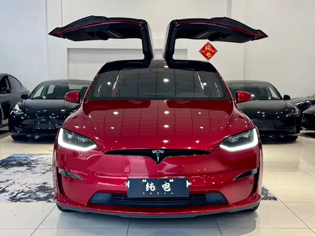 Tesla Model X — фото 10