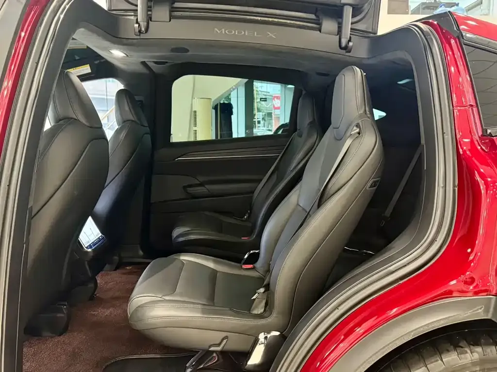 Tesla Model X — фото 9