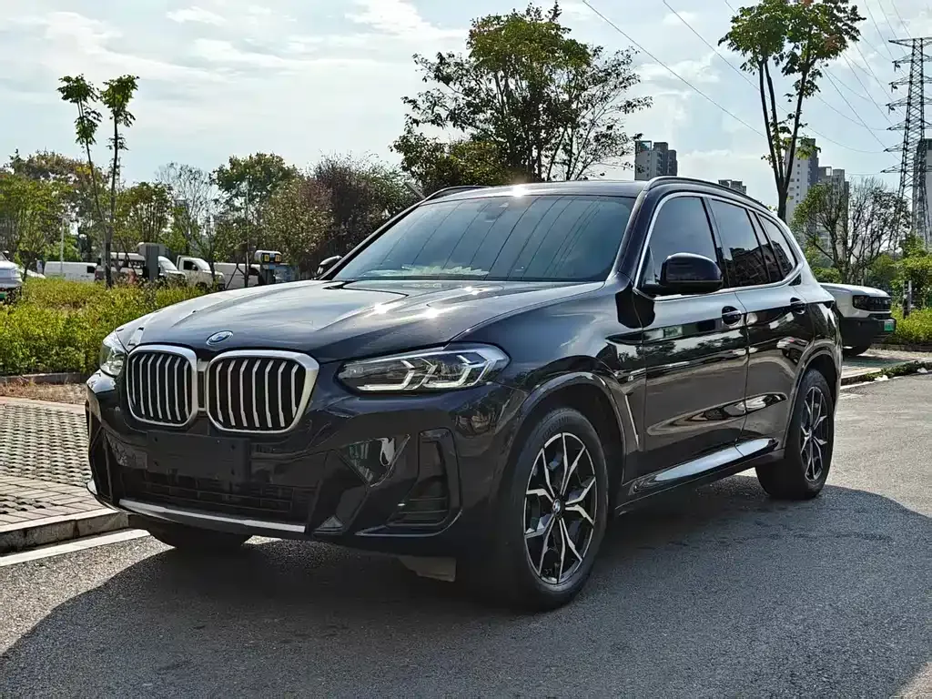 BMW X3 — фото 1