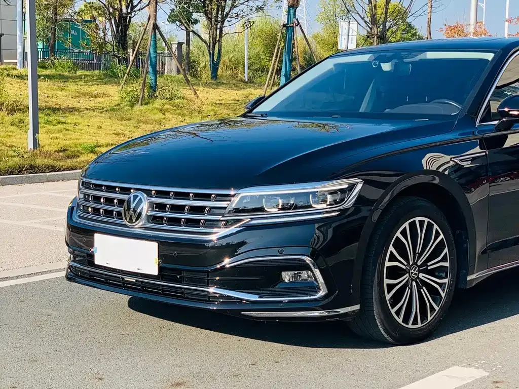 Volkswagen Phideon — фото 8