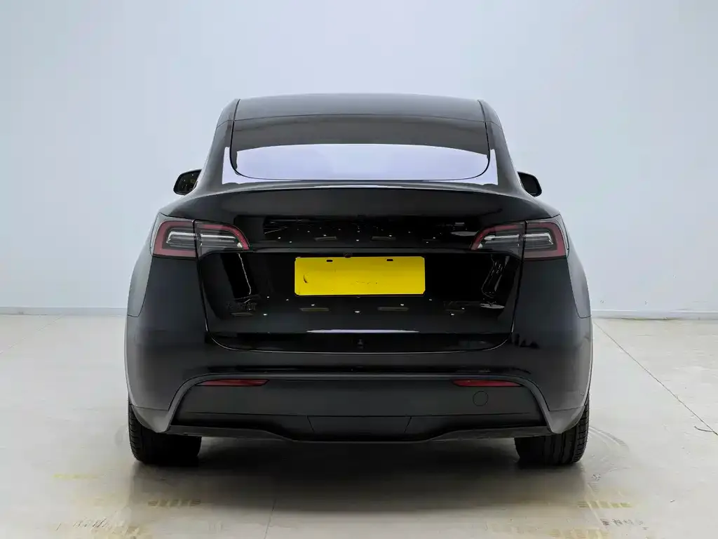 Tesla Model Y — фото 5