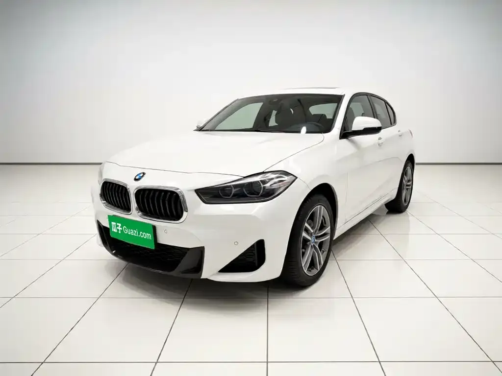 BMW X2 — фото 1