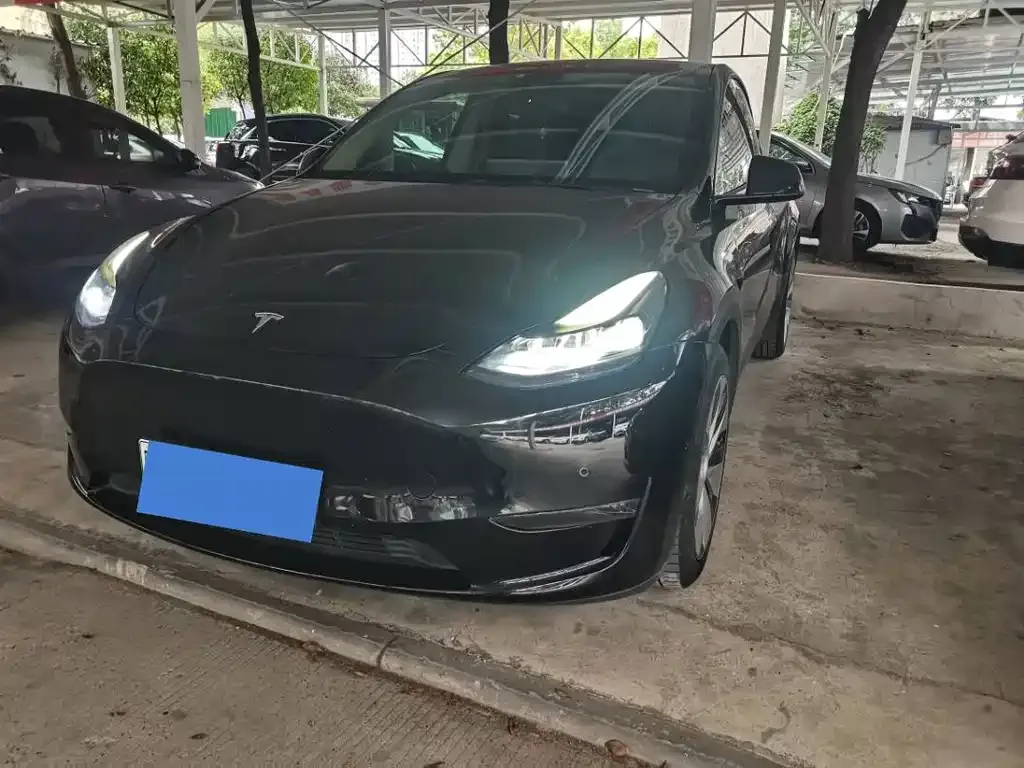 Tesla Model Y — фото 1