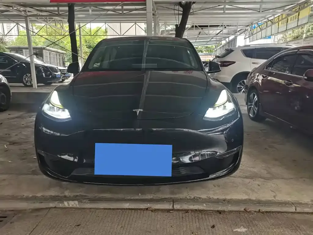Tesla Model Y — фото 5