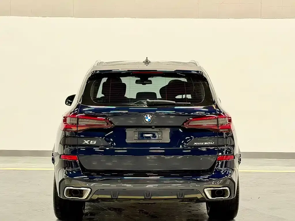 BMW X5 — фото 4