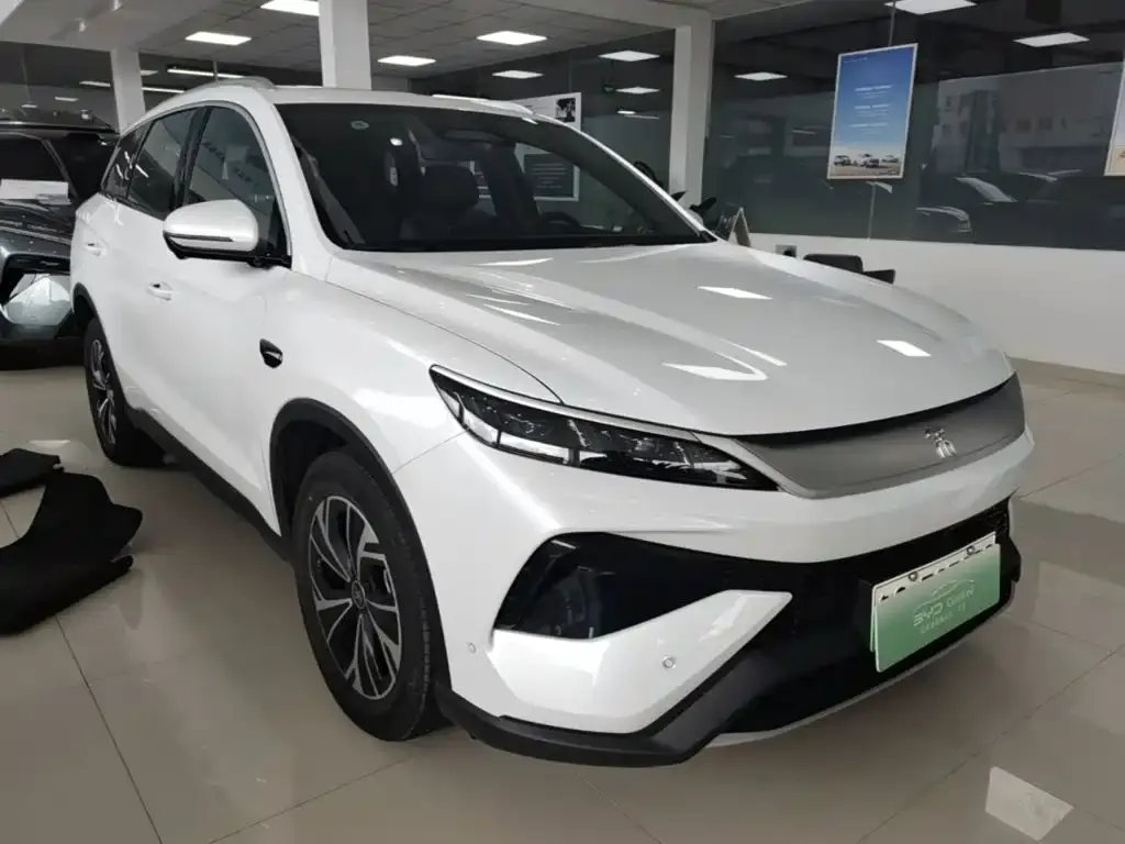 BYD Pro New Energy — фото 7
