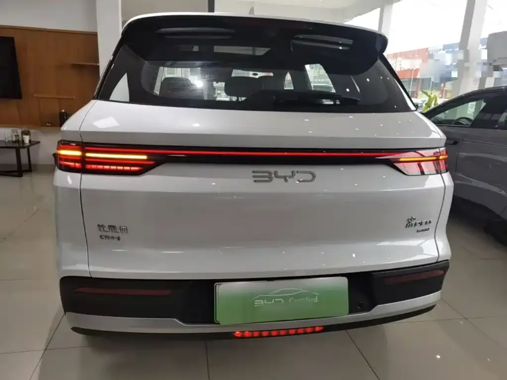 BYD Pro New Energy — фото 6