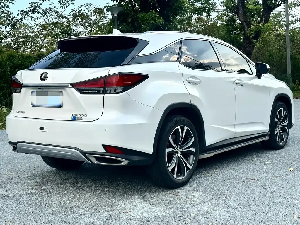Lexus RX — фото 6
