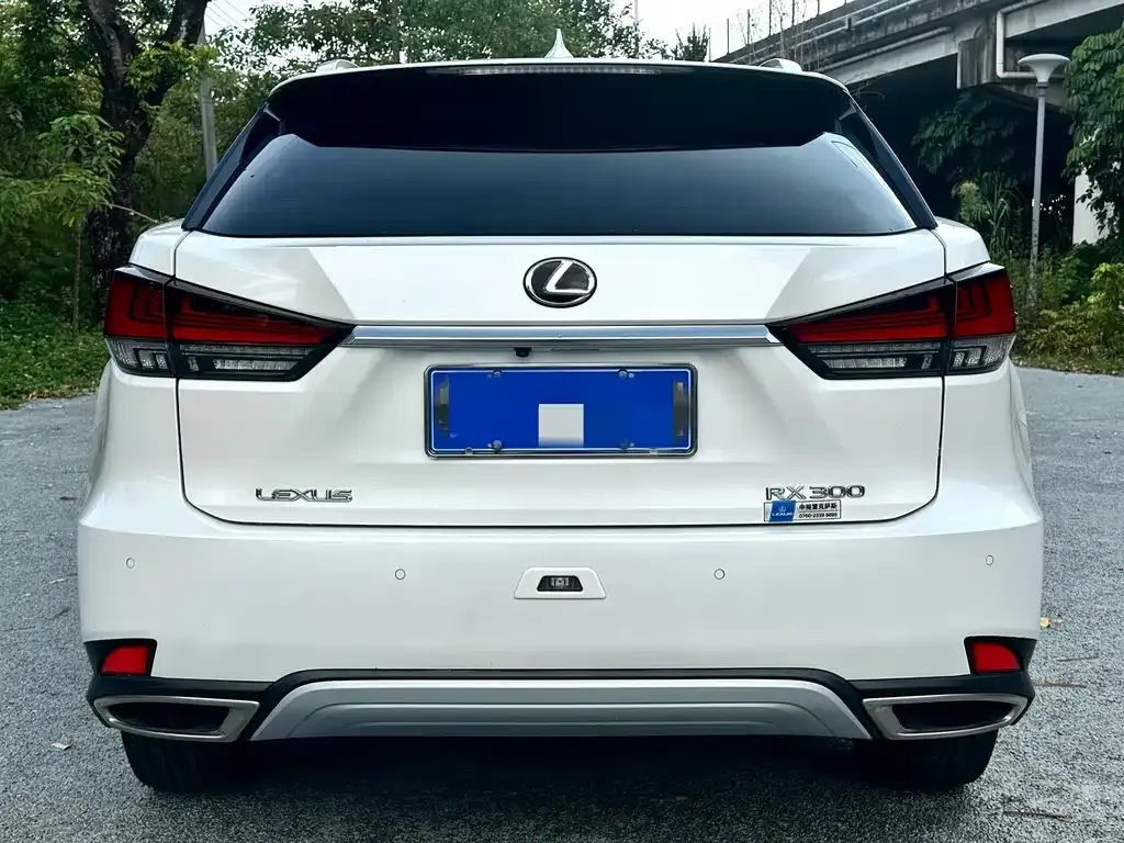 Lexus RX — фото 10
