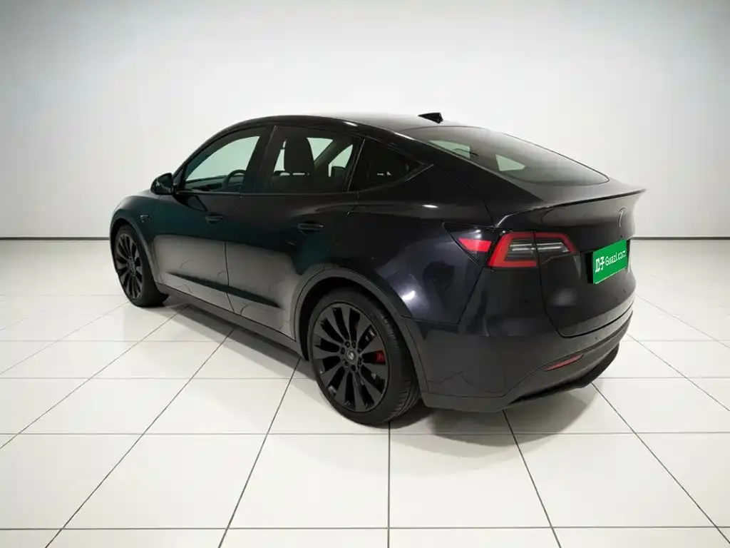 Tesla Model Y — фото 10