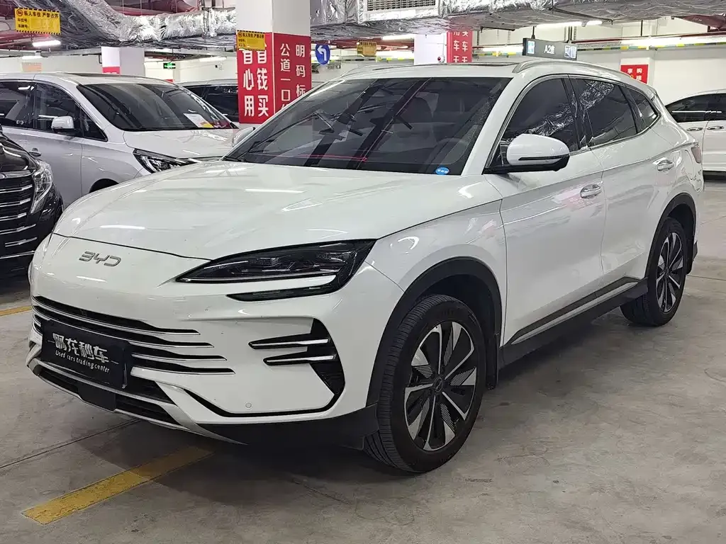 BYD PLUS New Energy — фото 1