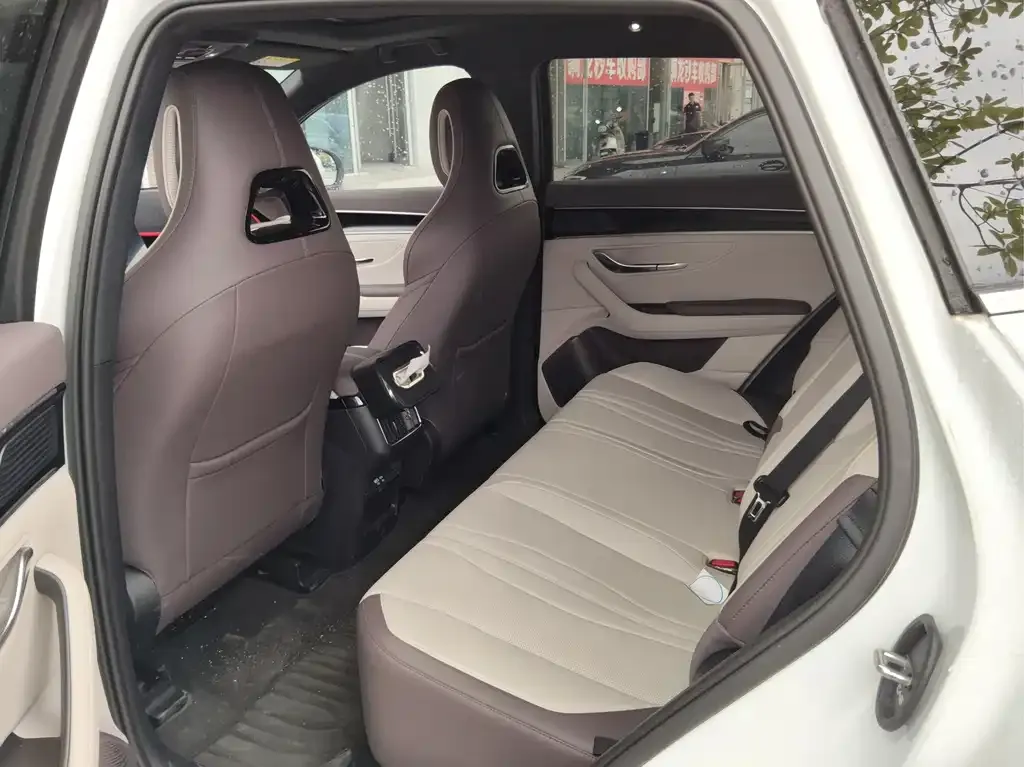BYD PLUS New Energy — фото 8