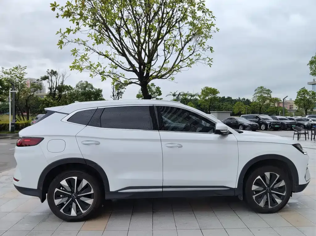 BYD PLUS New Energy — фото 6