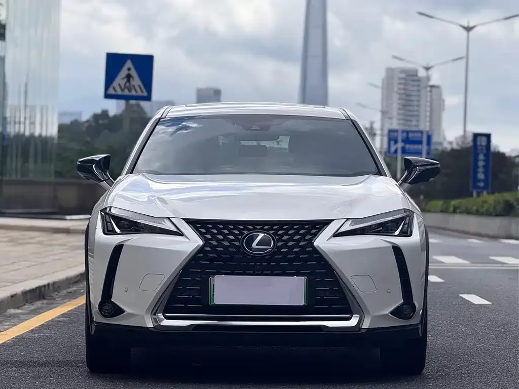 Lexus UX New Energy — фото 10