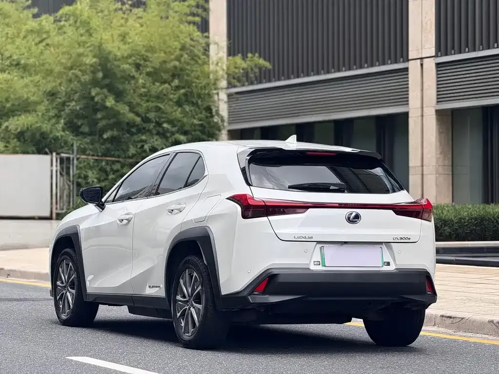 Lexus UX New Energy — фото 7
