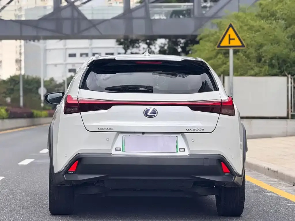 Lexus UX New Energy — фото 6