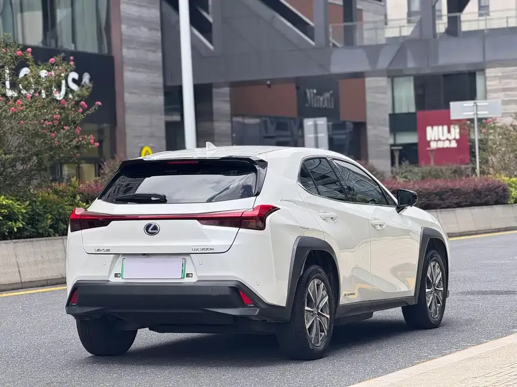 Lexus UX New Energy — фото 9
