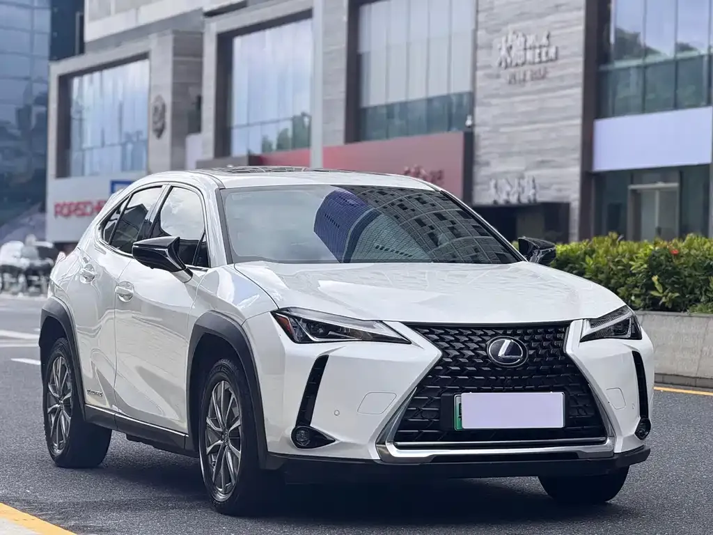 Lexus UX New Energy — фото 4