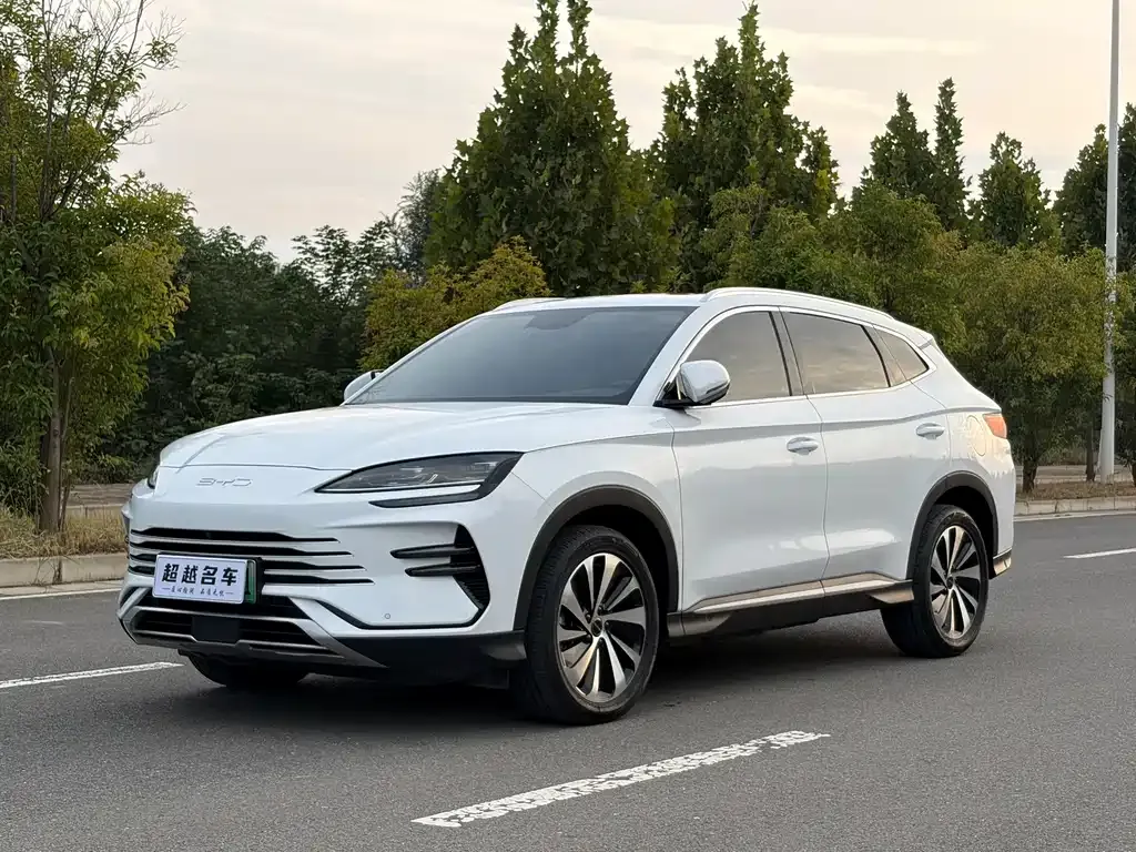 BYD PLUS New Energy — фото 1