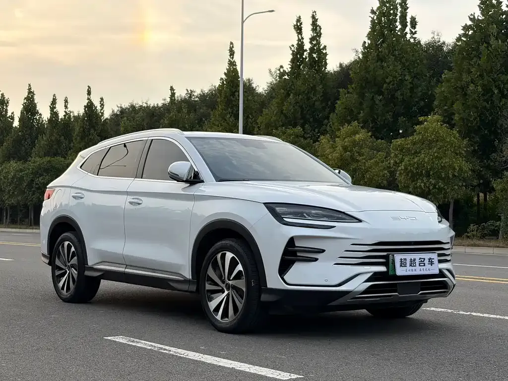 BYD PLUS New Energy — фото 6