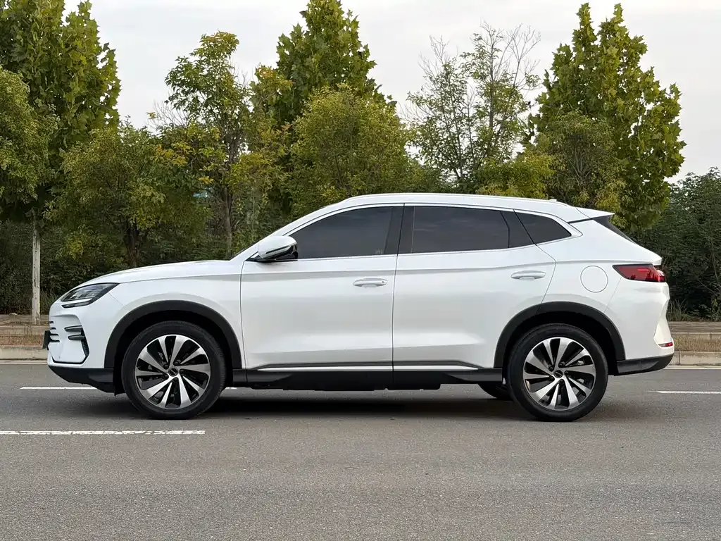 BYD PLUS New Energy — фото 10