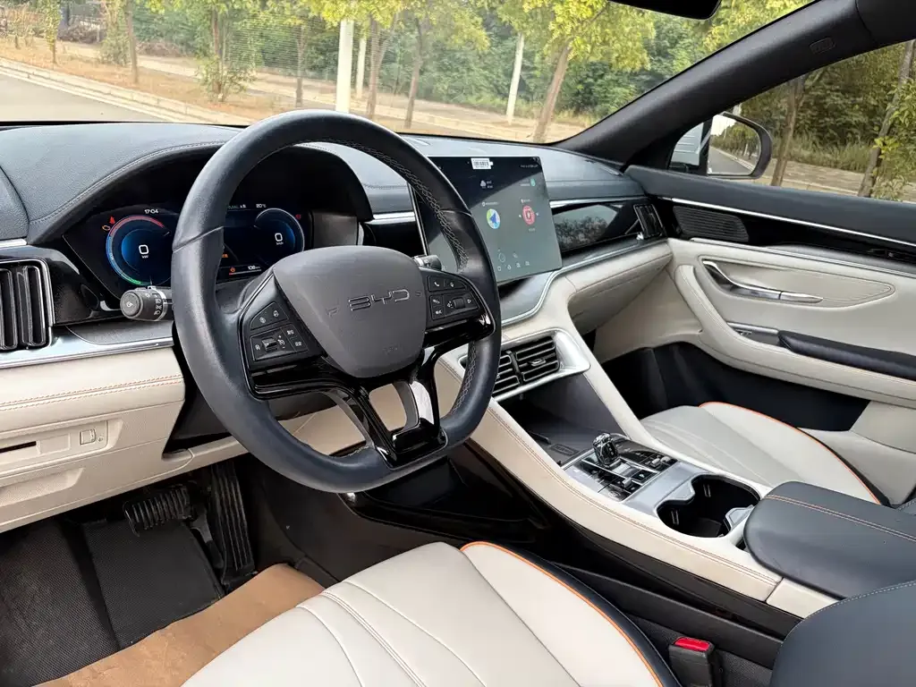 BYD PLUS New Energy — фото 4