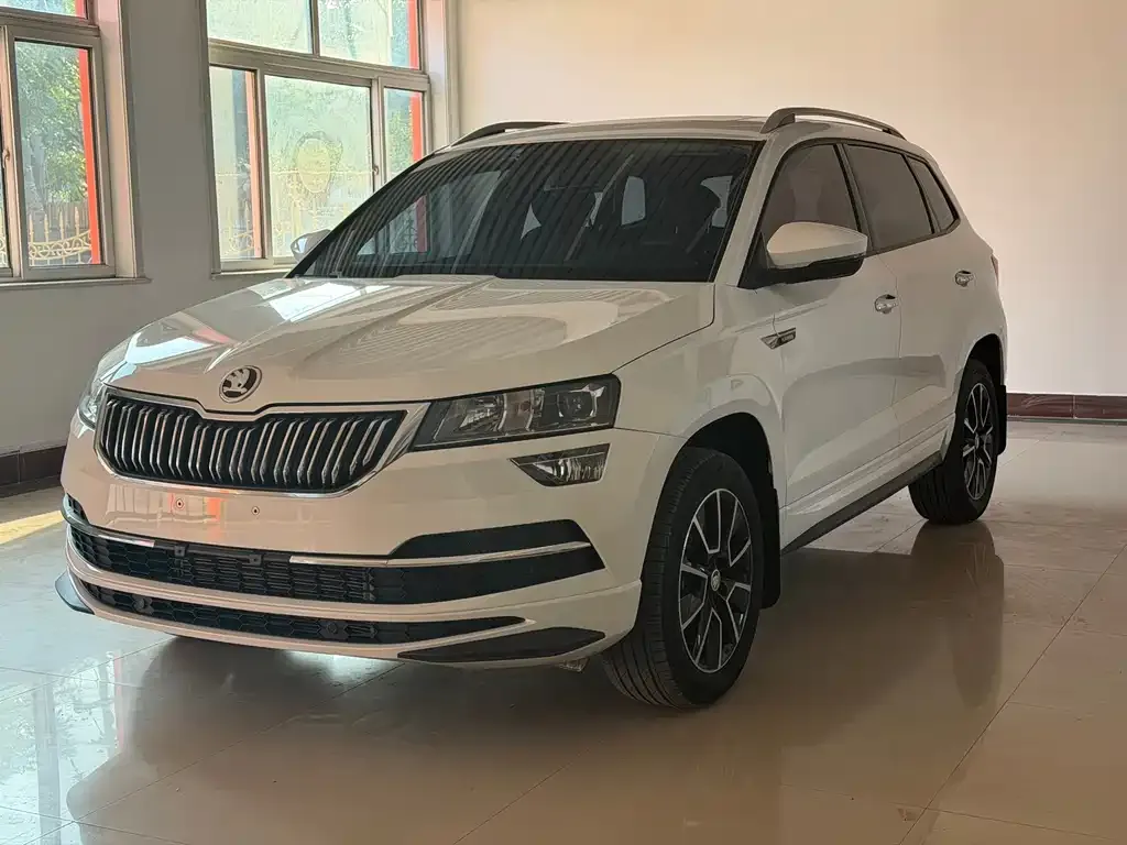 Skoda Karoq — фото 10