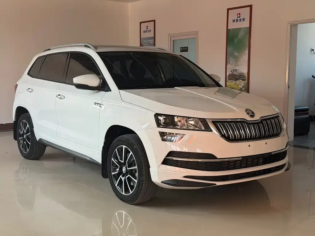Skoda Karoq — фото 7