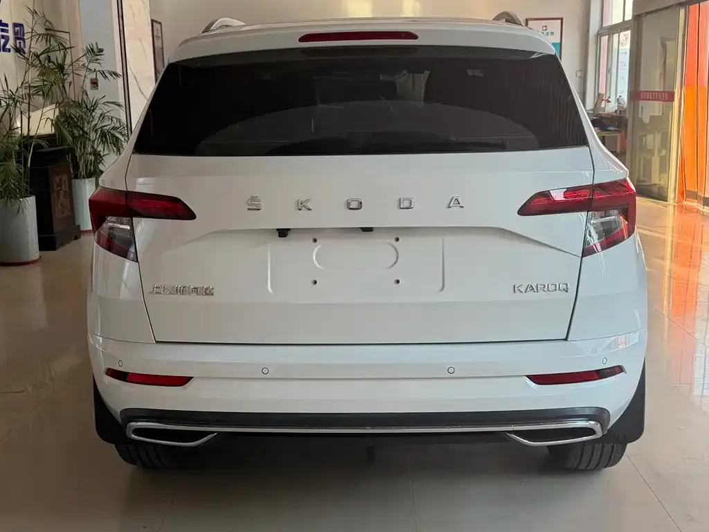Skoda Karoq — фото 6
