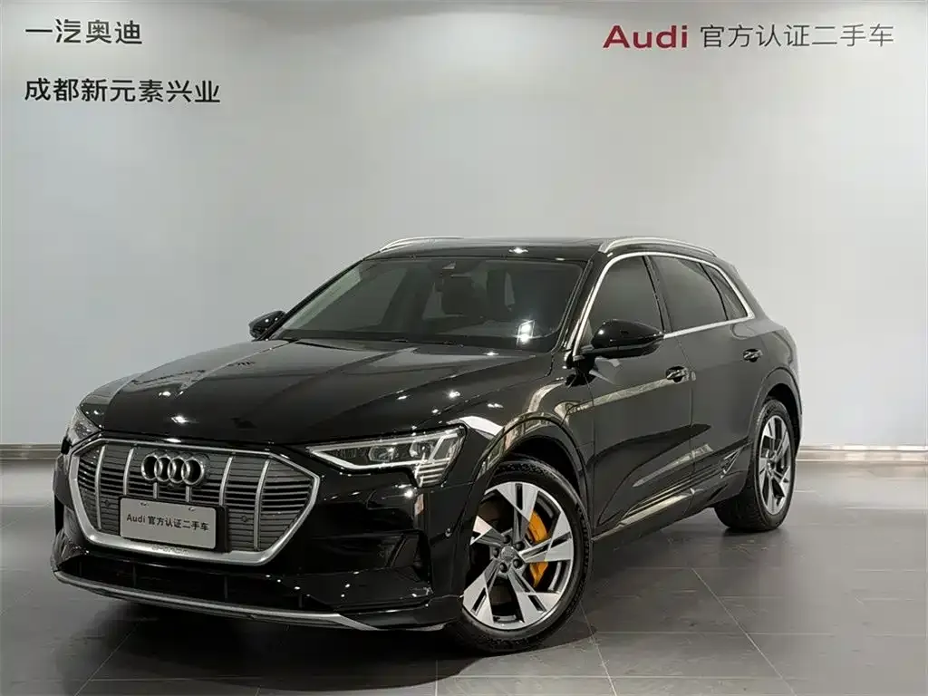 Audi e-tron (Import) — фото 1