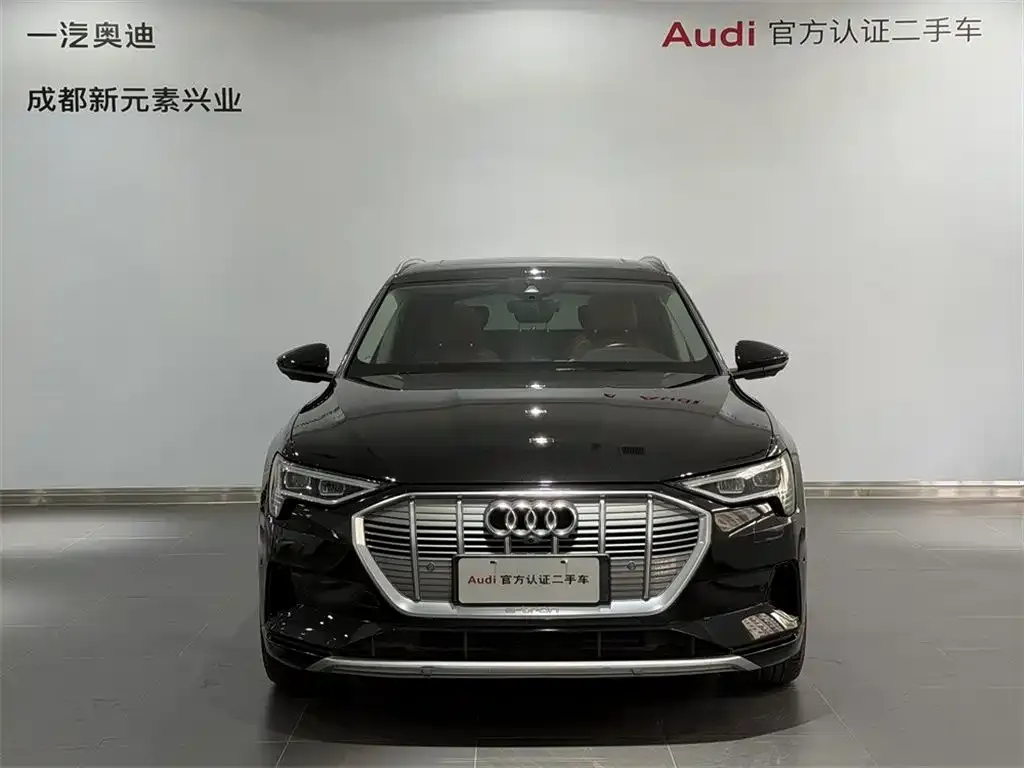 Audi e-tron (Import) — фото 4