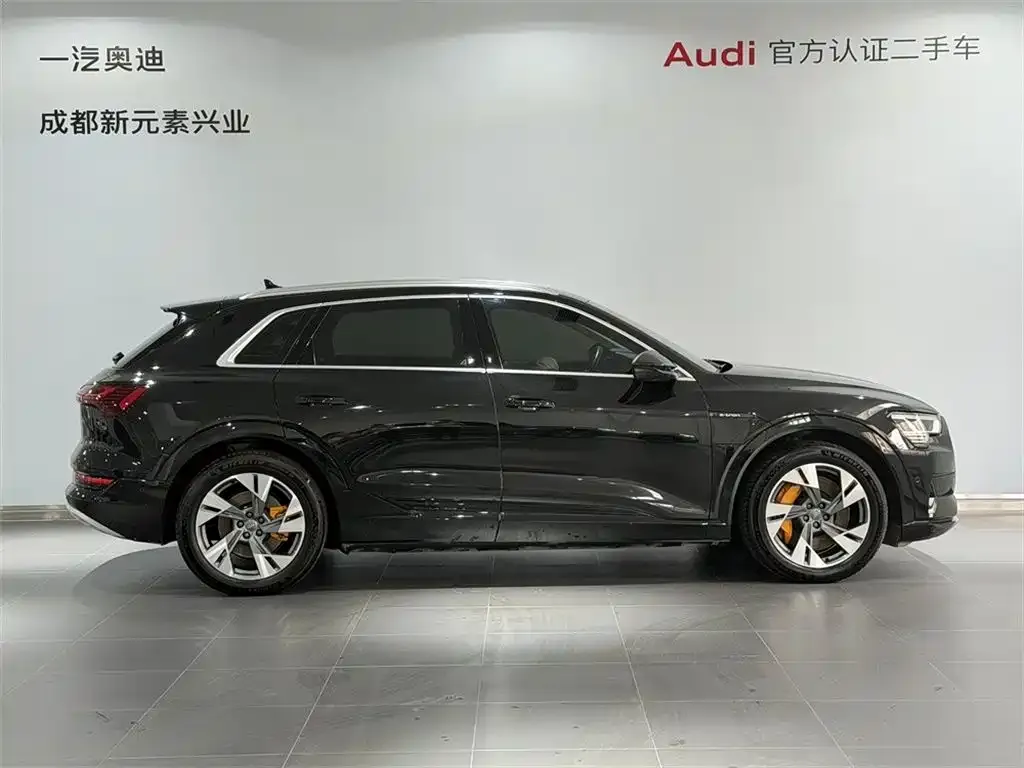 Audi e-tron (Import) — фото 3