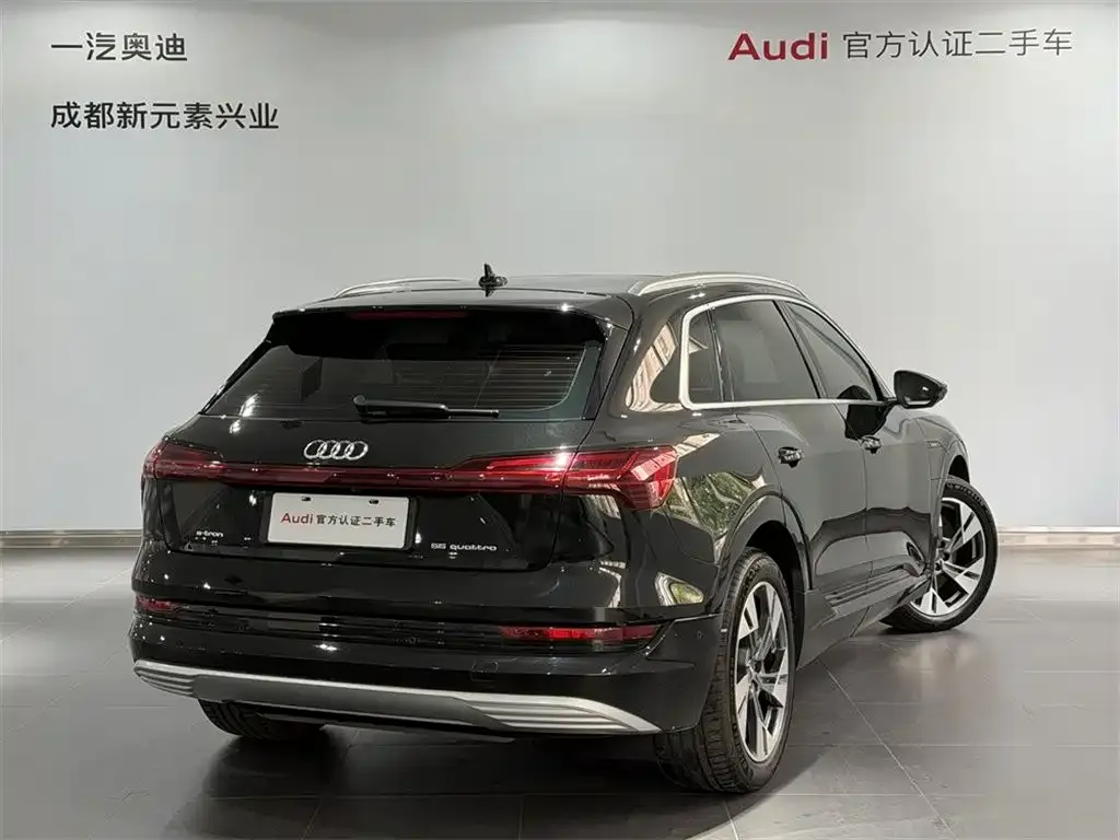 Audi e-tron (Import) — фото 7